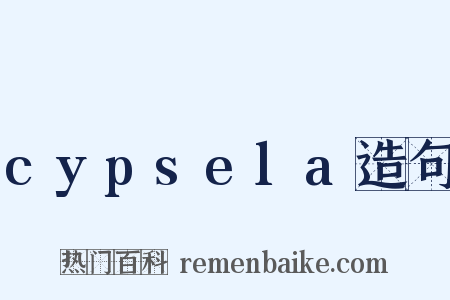 cypsela造句是什么意思的图片